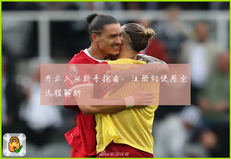 开云入口新手指南，注册到使用全流程解析