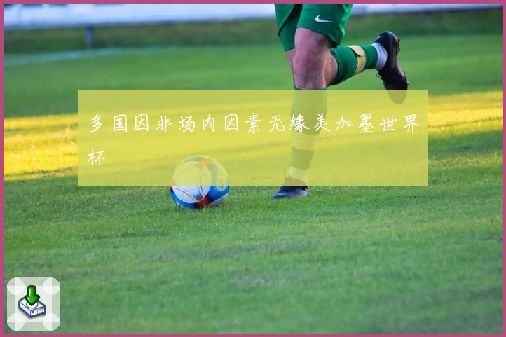多国因非场内因素无缘美加墨世界杯