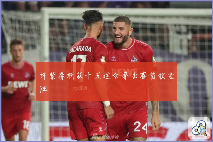 许紫春斩获十五运会拳击赛首枚金牌