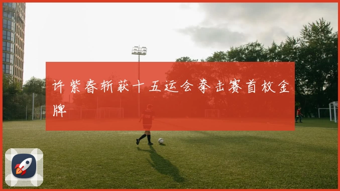 许紫春斩获十五运会拳击赛首枚金牌